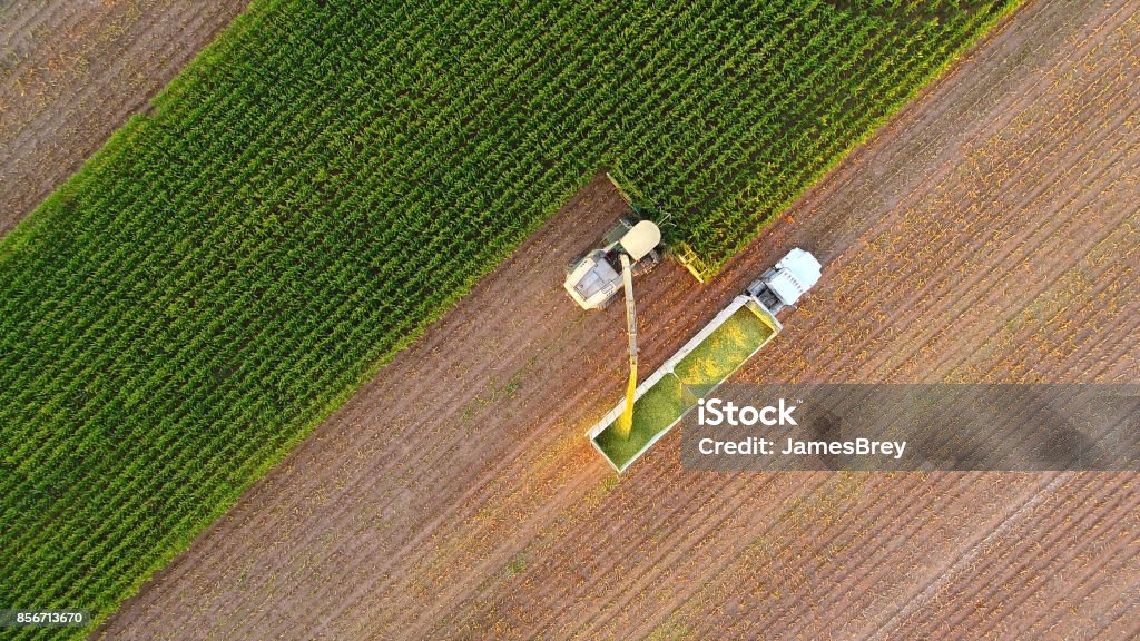 Tractor and farm machines harvesting corn in Autumn Tractor and farm machines harvesting corn in Autumn, breathtaking aerial view. Aerial View Stock Photo