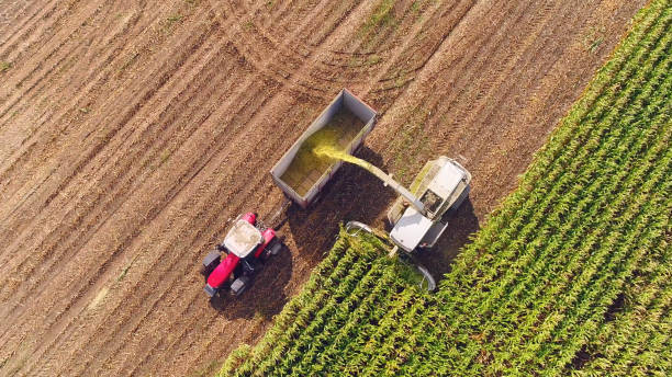 istock Farm machines harvesting corn in Autumn, aerial view 856714224