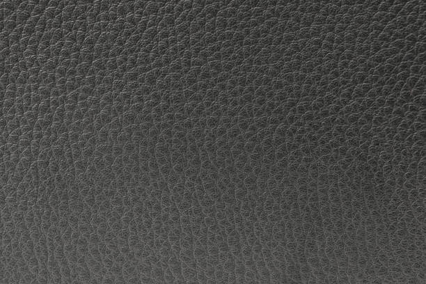 istock the texture of the skin is gray 856714838