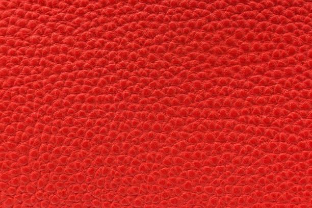 istock the texture of the skin is red 856717176