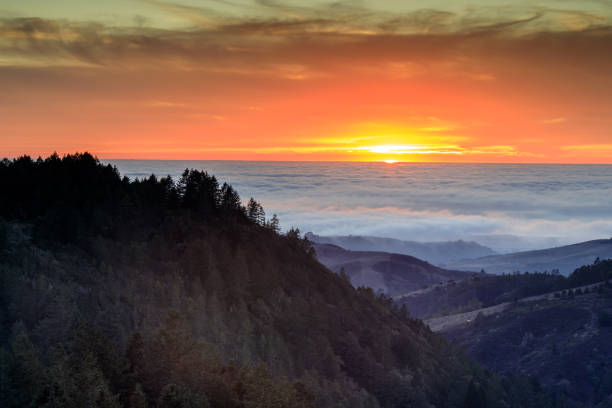 Fire and Ice Vibrant Skies Above Foggy Pacific Ocean in Santa Cruz Mountains. Purisima Creek Redwoods, Woodside, San Mateo County, California, USA. redwood city stock pictures, royalty-free photos & images