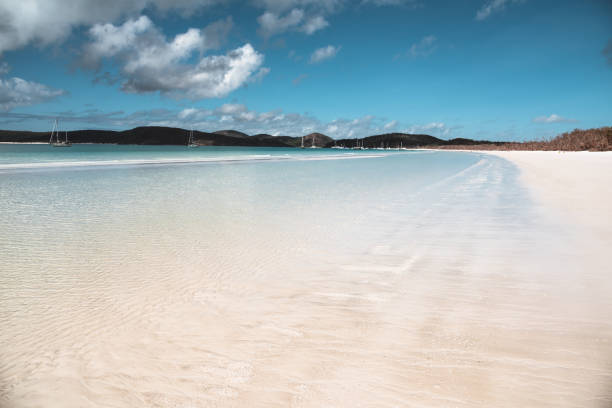 istock whitehaven beach in queensland australia 856721742