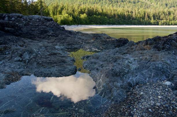 istock Reflection of a cloud in a tide pool in Battle Bay 856721768