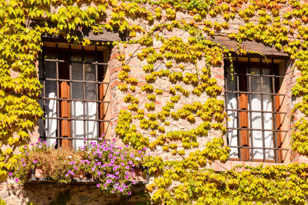 istock Medieval City Bassano del Grappa 856726724