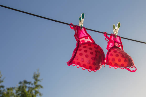 сlothesline avec un soutien-gorge rose - bra lingerie clothesline underwear photos et images de collection