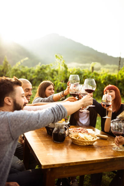 amici che fanno una degustazione di vini - vineyard napa valley agriculture sunset foto e immagini stock