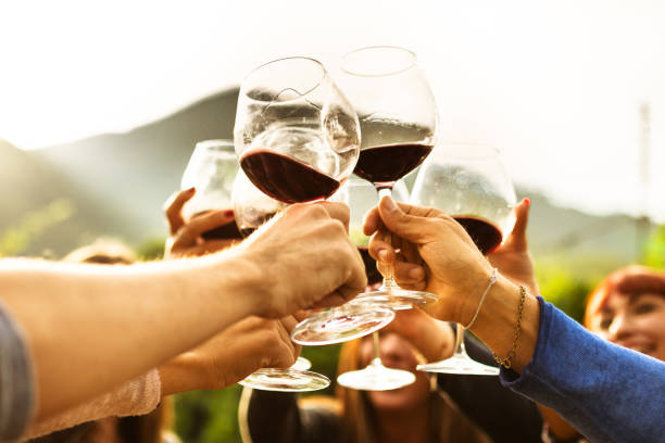 friends doing a wine tasting - napa valley vineyard autumn california imagens e fotografias de stock