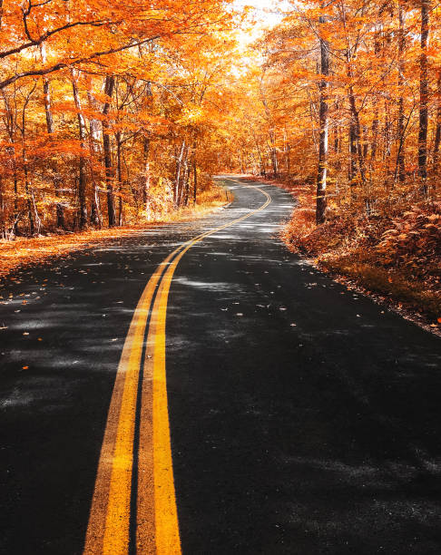 istock Autumnal road in new hampshire 856736934