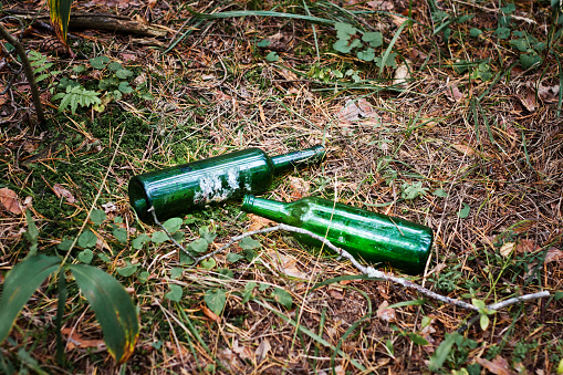 Two green glass bottles, garbage in the forest, poor ecology