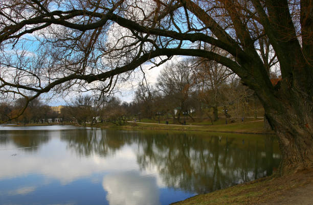 istock Minsk, the park Loshitsa 856740024