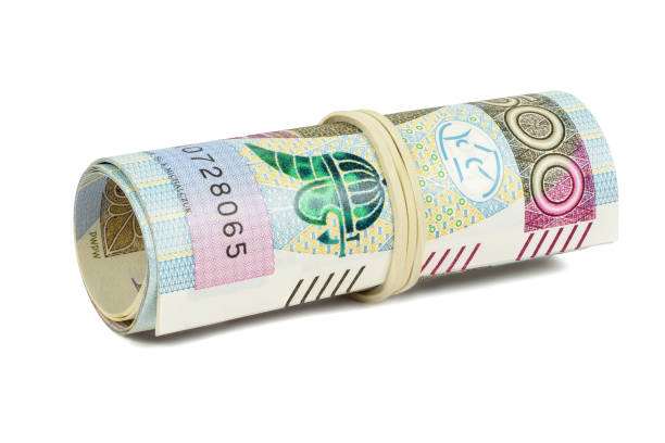istock Polish banknotes of 500 PLN rolled with rubber 856740130