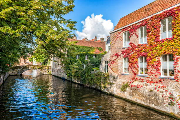 outono na bela cidade de canal europeia - bruges cityscape europe autumn - fotografias e filmes do acervo