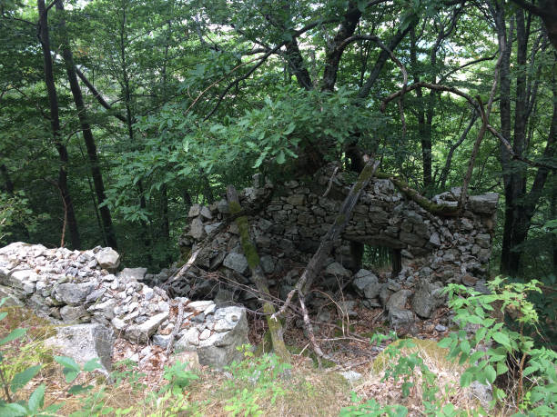 istock Ruined house in forest and mountain 856753636