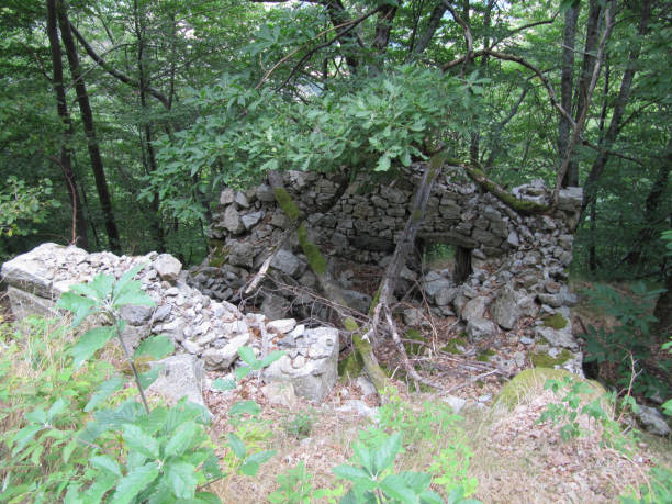 istock Ruined house in forest and mountains 856753654