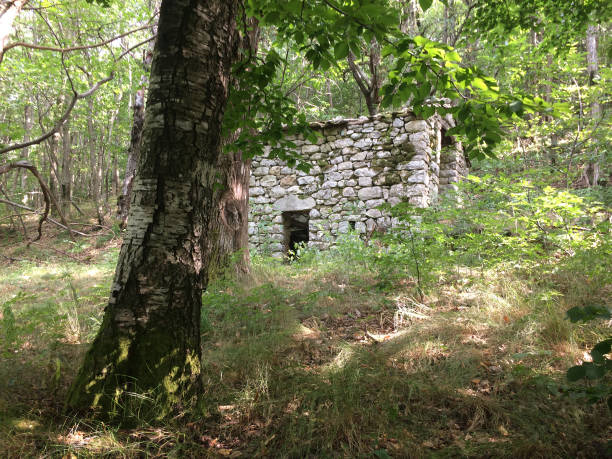 istock Old abandoned house in the mountain 856753754