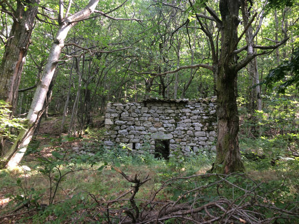 istock Old abandoned hut in the mountain 856753760