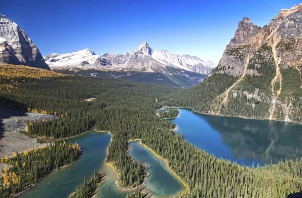 istock Lake O'Hara Panoramic Landscape Yoho National Park 856756356