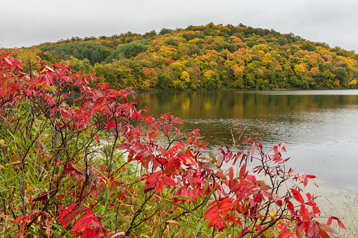 A lake landscape with colorful fall foliage.