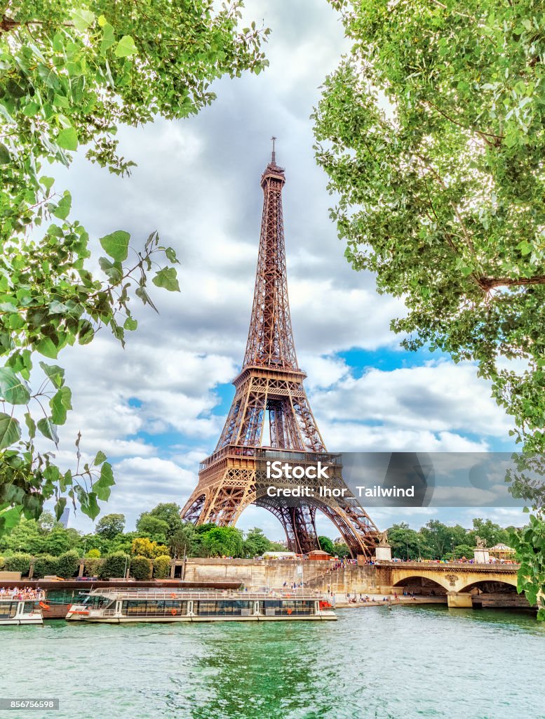 Khung Cảnh Cổ Điển Trên Tháp Eiffel Qua Những Tán Lá Dương Xanh Trên Sông  Seine Ở Paris Phong Cảnh Buổi Sáng Mùa Hè Tuyệt Đẹp Hướng Dọc Tháp Eiffel  Là Điểm