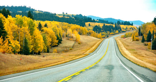 istock Highway 22, the Cowboy Trail, Southern Alberta 856760234