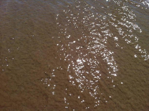 istock Sea water on the wet sand 856772484
