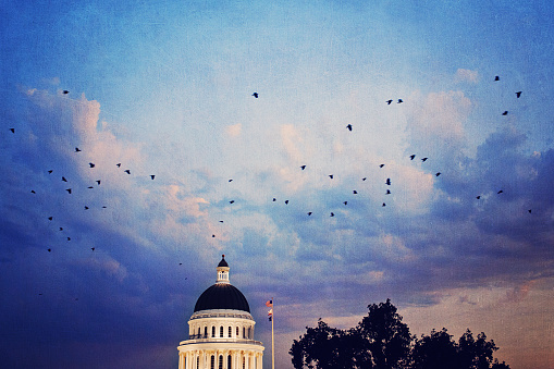 Textured, artistic capture of the California State Capitol building in Sacramento at sunset. Cloud filled sky and flock of birds flying past.