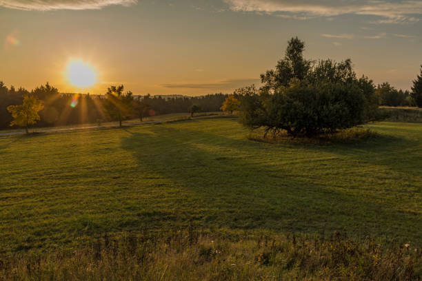 istock Sunset in Slavkovsky les national park 856783090