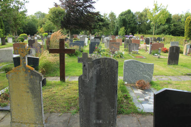 istock Tombstones on a cemetery 856783118
