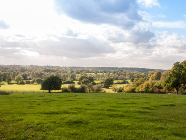 istock beautiful country side scene with grass lawn hills and trees day 856783396