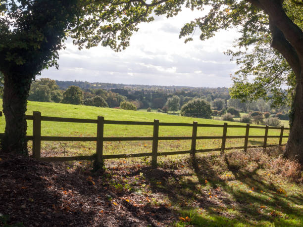 istock country side open rolling fields below with wooden fence up front 856783446