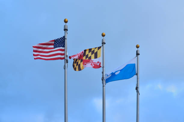 istock Ocean City Flags in Breeze 856786426