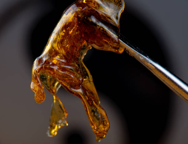 istock Cannabis oil concentrate aka shatter held on a dabbing tool 856791044