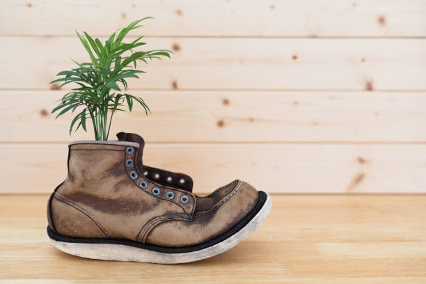 istock Retro leather boots and plant background material 856794754