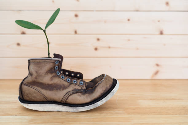 istock Retro leather boots and plant background material 856794756