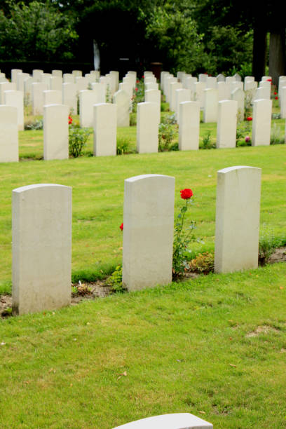 istock Memorial world war II cemetery 856800524