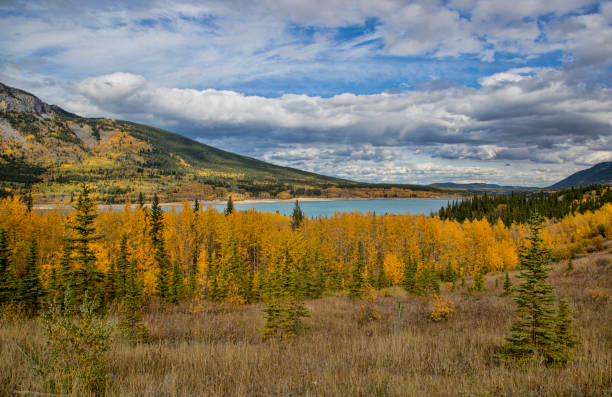 istock Barrier Lake, Kananaskis 856801592