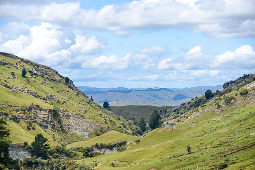 Hiking through the hills over Gisborne, New Zealand