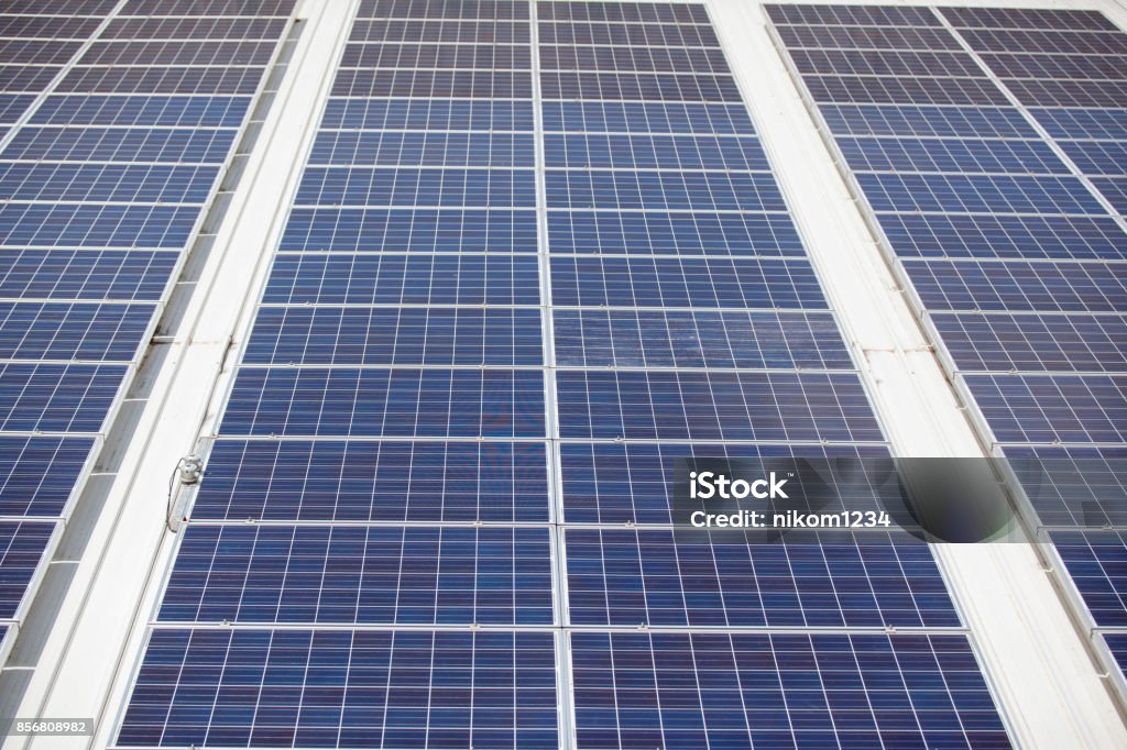 Solar Cell View Solar Cells Stock Photo - Download Image Now - Backgrounds, Biological ...