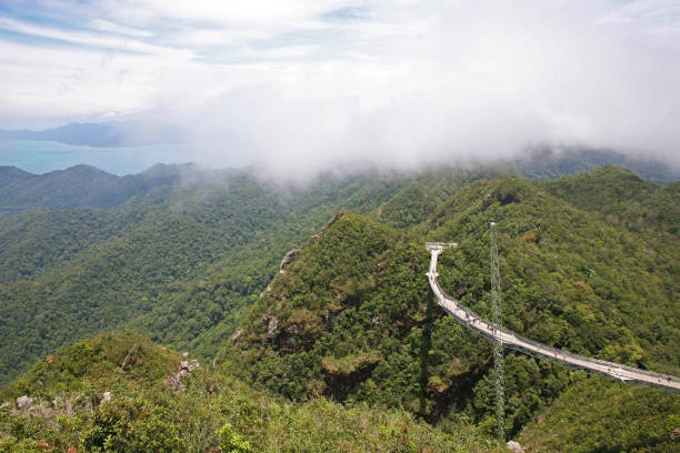 ランカウイのスカイ ブリッジ上から - tropical rainforest elevated walkway pulau langkawi malaysia ストックフォトと画像