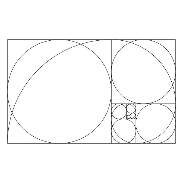 Golden ratio template with proportional circles Vector illustration of a template of the golden ratio mathematics illustrations stock illustrations