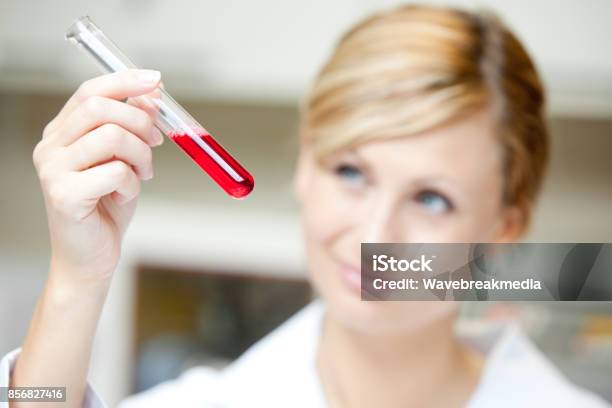 Close Up Of A Female Scientist Looking At A Test Tube Stock Photo - Download Image Now