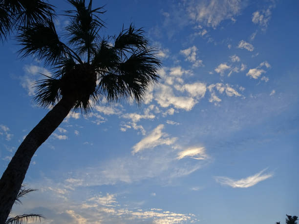 istock sunset on the lake on tropical island 856830100