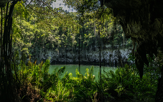 Beautiful landscape of vegetation bordering groundwater hole, The Three Eyes National Park, Dominican Republic.