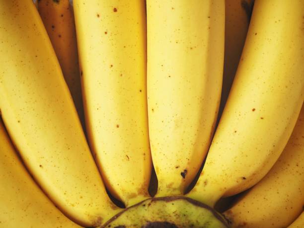 istock Close up of bunch bananas 856835008