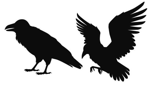 Raven Silhouette Clipart For Free Download Freeimages Raven Silhouette Clipart For Free Download Freeimages