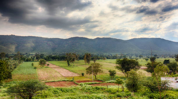 istock Panoramic landscape view of mountains and agriculture in India 856838500