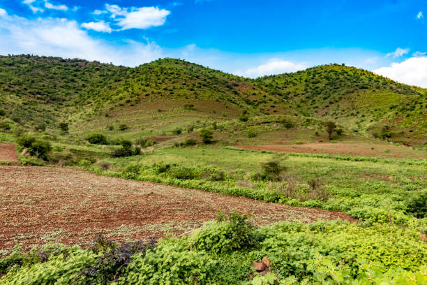 istock Scenic view of mountains and agriculture fields 856838644