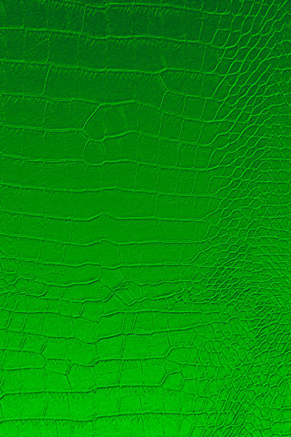 istock Dark green color texture pattern abstract background can be use as wall paper screen saver cover page or for Christmas card background or New years card background also have copy space for text. 856850512