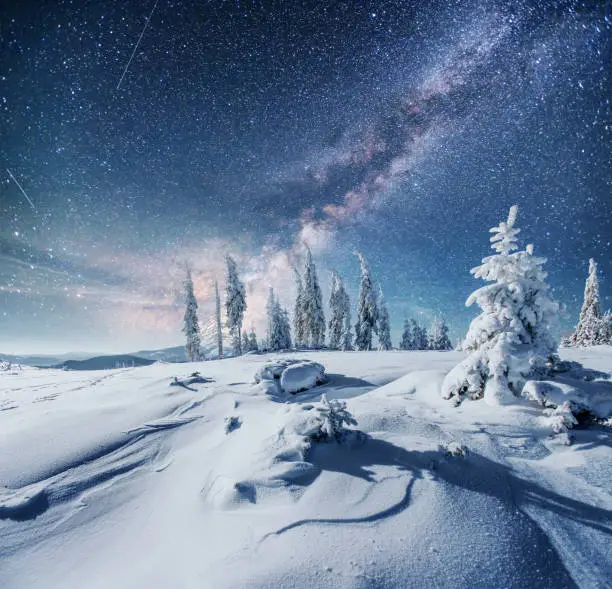 Photo of Dairy Star Trek in the winter woods. Dramatic and picturesque scene. In anticipation of the holiday.