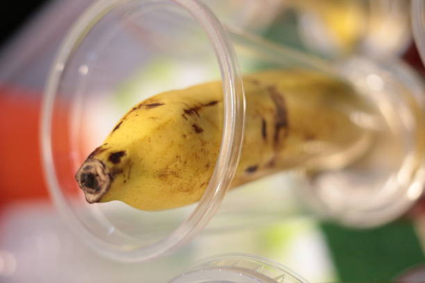 istock Banana in plastic glass 856858814